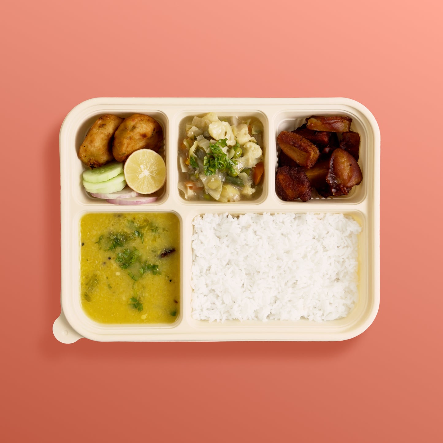 Regular Veg Tiffin